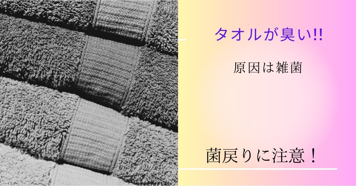 タオル濡れると臭い原因は菌にあった!【驚愕】菌は戻る?!子育てママにもおすすめのタオル