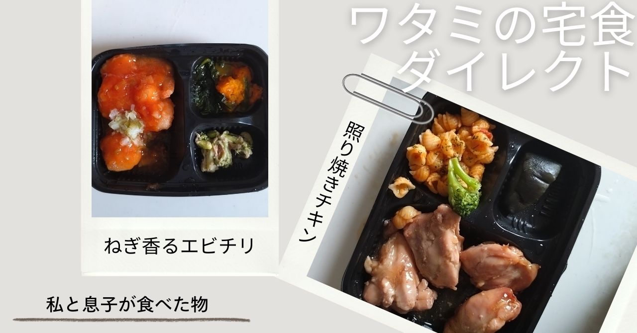 【ワタミの宅食の冷凍 】添加物の種類とその内容をお試し割で徹底解剖!!