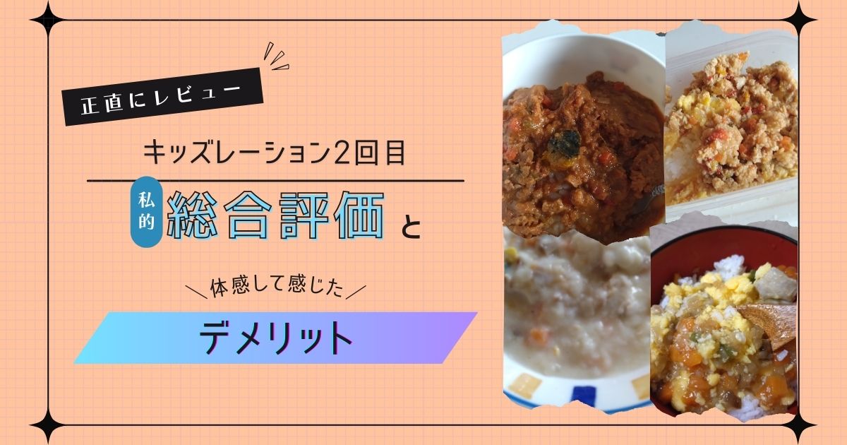 キッズレーション2回目の本音レビューで見える意外な魅力とは？