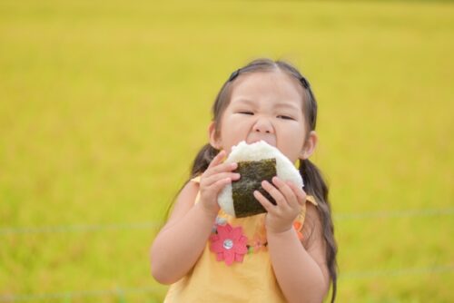 1歳にコンビニおにぎりは安全？無添加なら宅食のほうが安心な理由