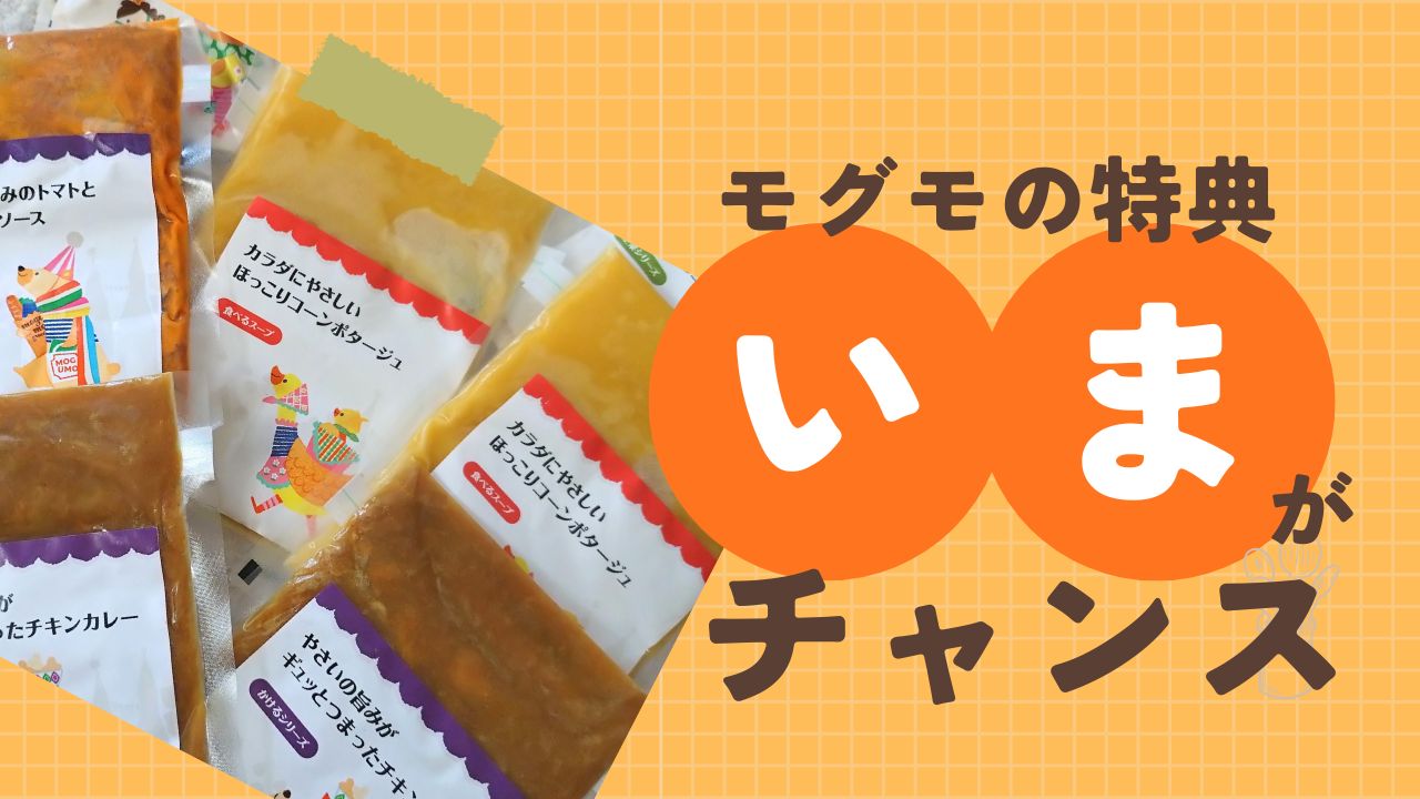 【mogumo特典まとめ】初回48%OFF+総額9,500円相当の豪華特典付き!