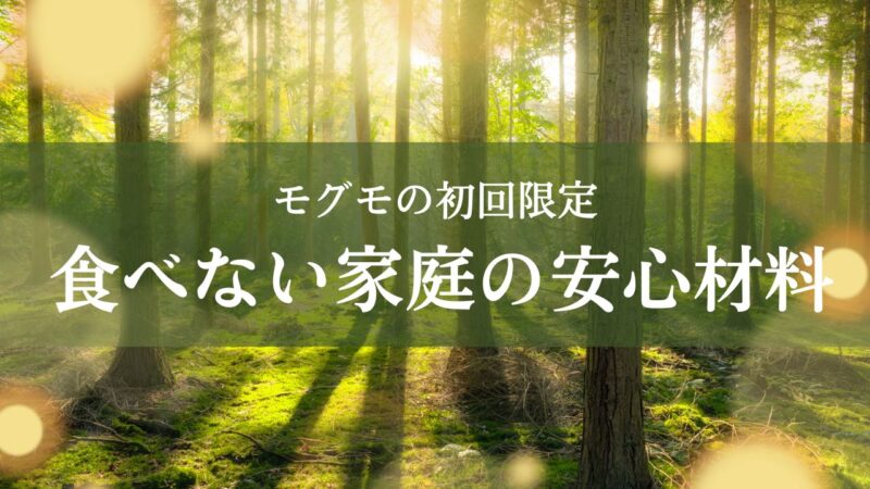 モグモは食べない?偏食の子のリアルな反応と対策